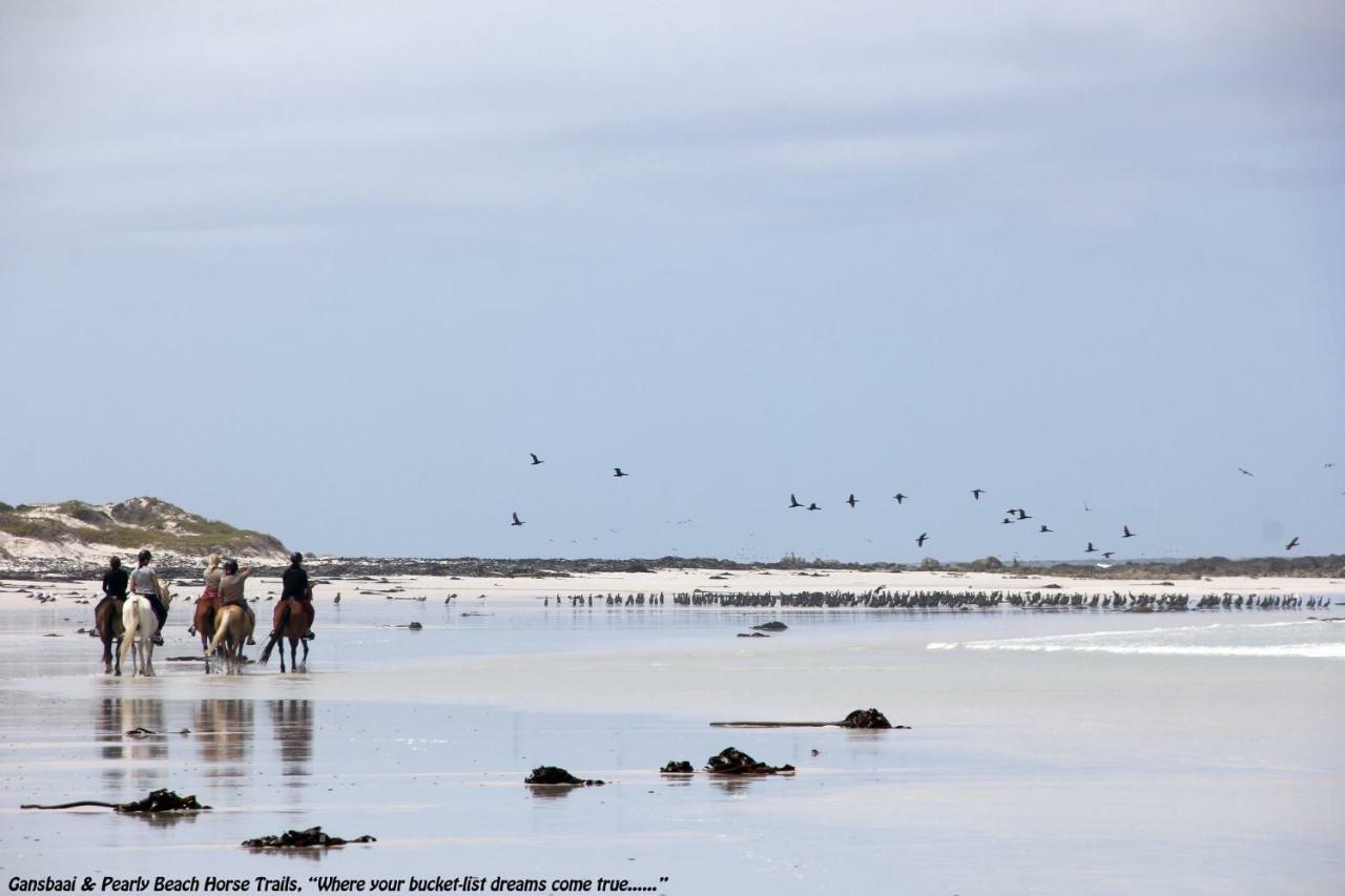 Ons C-Huis - Gansbaai Seafront Accommodation, Back-Up Power Exteriér fotografie